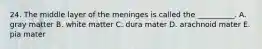 24. The middle layer of the meninges is called the __________. A. gray matter B. white matter C. dura mater D. arachnoid mater E. pia mater