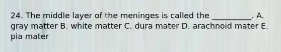 24. The middle layer of <a href='https://www.questionai.com/knowledge/k36SqhoPCV-the-meninges' class='anchor-knowledge'>the meninges</a> is called the __________. A. gray matter B. white matter C. dura mater D. arachnoid mater E. pia mater