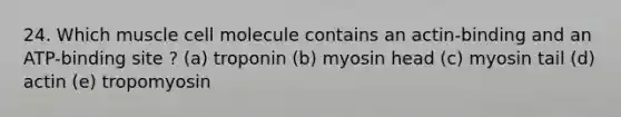 24. Which muscle cell molecule contains an actin-binding and an ATP-binding site ? (a) troponin (b) myosin head (c) myosin tail (d) actin (e) tropomyosin