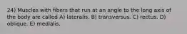 24) Muscles with fibers that run at an angle to the long axis of the body are called A) lateralis. B) transversus. C) rectus. D) oblique. E) medialis.