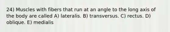 24) Muscles with fibers that run at an angle to the long axis of the body are called A) lateralis. B) transversus. C) rectus. D) oblique. E) medialis