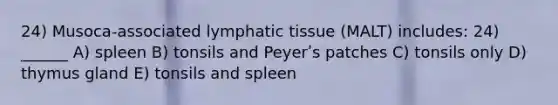 24) Musoca-associated lymphatic tissue (MALT) includes: 24) ______ A) spleen B) tonsils and Peyerʹs patches C) tonsils only D) thymus gland E) tonsils and spleen