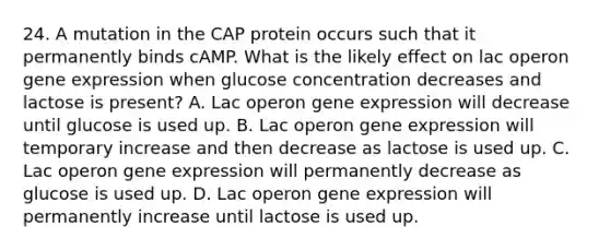 24. A mutation in the CAP protein occurs such that it permanently binds cAMP. What is the likely effect on lac operon gene expression when glucose concentration decreases and lactose is present? A. Lac operon gene expression will decrease until glucose is used up. B. Lac operon gene expression will temporary increase and then decrease as lactose is used up. C. Lac operon gene expression will permanently decrease as glucose is used up. D. Lac operon gene expression will permanently increase until lactose is used up.