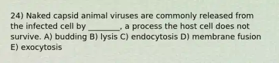 24) Naked capsid animal viruses are commonly released from the infected cell by ________, a process the host cell does not survive. A) budding B) lysis C) endocytosis D) membrane fusion E) exocytosis