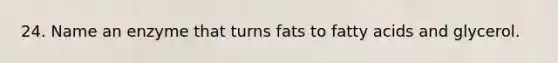 24. Name an enzyme that turns fats to fatty acids and glycerol.