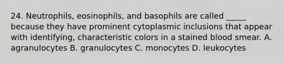 24. Neutrophils, eosinophils, and basophils are called _____ because they have prominent cytoplasmic inclusions that appear with identifying, characteristic colors in a stained blood smear. A. agranulocytes B. granulocytes C. monocytes D. leukocytes