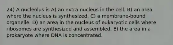 24) A nucleolus is A) an extra nucleus in the cell. B) an area where the nucleus is synthesized. C) a membrane-bound organelle. D) an area in the nucleus of eukaryotic cells where ribosomes are synthesized and assembled. E) the area in a prokaryote where DNA is concentrated.