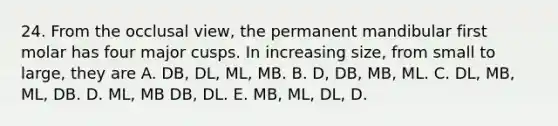 24. From the occlusal view, the permanent mandibular first molar has four major cusps. In increasing size, from small to large, they are A. DB, DL, ML, MB. B. D, DB, MB, ML. C. DL, MB, ML, DB. D. ML, MB DB, DL. E. MB, ML, DL, D.