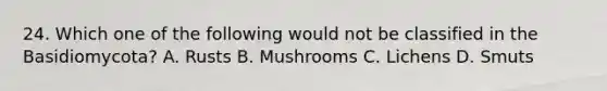 24. Which one of the following would not be classified in the Basidiomycota? A. Rusts B. Mushrooms C. Lichens D. Smuts