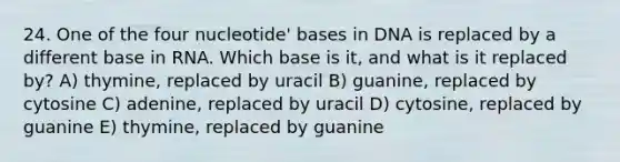 24. One of the four nucleotide' bases in DNA is replaced by a different base in RNA. Which base is it, and what is it replaced by? A) thymine, replaced by uracil B) guanine, replaced by cytosine C) adenine, replaced by uracil D) cytosine, replaced by guanine E) thymine, replaced by guanine