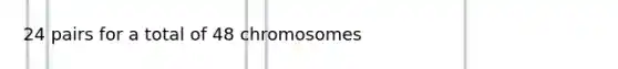 24 pairs for a total of 48 chromosomes