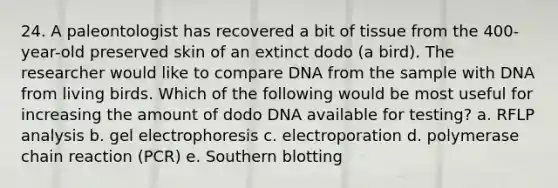 24. A paleontologist has recovered a bit of tissue from the 400-year-old preserved skin of an extinct dodo (a bird). The researcher would like to compare DNA from the sample with DNA from living birds. Which of the following would be most useful for increasing the amount of dodo DNA available for testing? a. RFLP analysis b. gel electrophoresis c. electroporation d. polymerase chain reaction (PCR) e. Southern blotting