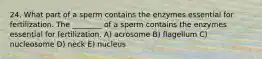 24. What part of a sperm contains the enzymes essential for fertilization. The ________ of a sperm contains the enzymes essential for fertilization. A) acrosome B) flagellum C) nucleosome D) neck E) nucleus