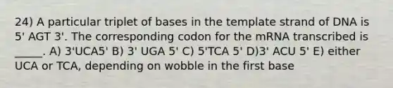 24) A particular triplet of bases in the template strand of DNA is 5' AGT 3'. The corresponding codon for the mRNA transcribed is _____. A) 3'UCA5' B) 3' UGA 5' C) 5'TCA 5' D)3' ACU 5' E) either UCA or TCA, depending on wobble in the first base