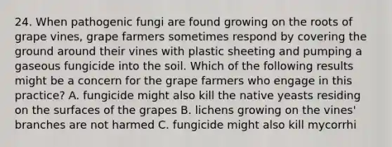 24. When pathogenic fungi are found growing on the roots of grape vines, grape farmers sometimes respond by covering the ground around their vines with plastic sheeting and pumping a gaseous fungicide into the soil. Which of the following results might be a concern for the grape farmers who engage in this practice? A. fungicide might also kill the native yeasts residing on the surfaces of the grapes B. lichens growing on the vines' branches are not harmed C. fungicide might also kill mycorrhi