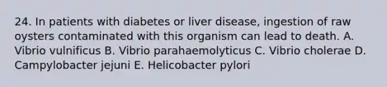 24. In patients with diabetes or liver disease, ingestion of raw oysters contaminated with this organism can lead to death. A. Vibrio vulnificus B. Vibrio parahaemolyticus C. Vibrio cholerae D. Campylobacter jejuni E. Helicobacter pylori