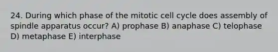 24. During which phase of the mitotic cell cycle does assembly of spindle apparatus occur? A) prophase B) anaphase C) telophase D) metaphase E) interphase