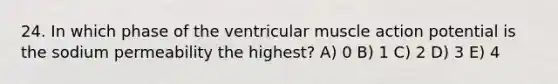 24. In which phase of the ventricular muscle action potential is the sodium permeability the highest? A) 0 B) 1 C) 2 D) 3 E) 4