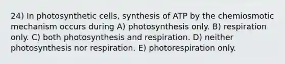 24) In photosynthetic cells, synthesis of ATP by the chemiosmotic mechanism occurs during A) photosynthesis only. B) respiration only. C) both photosynthesis and respiration. D) neither photosynthesis nor respiration. E) photorespiration only.