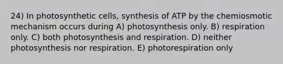 24) In photosynthetic cells, synthesis of ATP by the chemiosmotic mechanism occurs during A) photosynthesis only. B) respiration only. C) both photosynthesis and respiration. D) neither photosynthesis nor respiration. E) photorespiration only