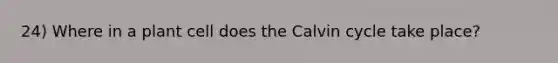 24) Where in a plant cell does the Calvin cycle take place?