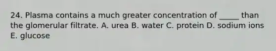 24. Plasma contains a much greater concentration of _____ than the glomerular filtrate. A. urea B. water C. protein D. sodium ions E. glucose