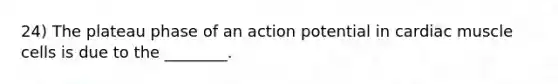 24) The plateau phase of an action potential in cardiac muscle cells is due to the ________.