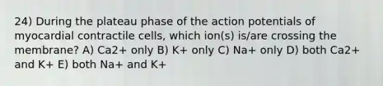 24) During the plateau phase of the action potentials of myocardial contractile cells, which ion(s) is/are crossing the membrane? A) Ca2+ only B) K+ only C) Na+ only D) both Ca2+ and K+ E) both Na+ and K+