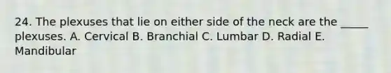 24. The plexuses that lie on either side of the neck are the _____ plexuses. A. Cervical B. Branchial C. Lumbar D. Radial E. Mandibular