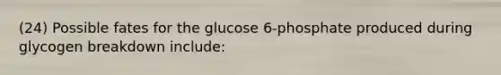 (24) Possible fates for the glucose 6-phosphate produced during glycogen breakdown include: