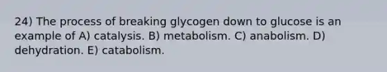 24) The process of breaking glycogen down to glucose is an example of A) catalysis. B) metabolism. C) anabolism. D) dehydration. E) catabolism.