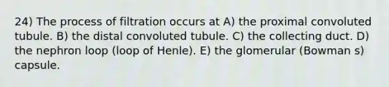 24) The process of filtration occurs at A) the proximal convoluted tubule. B) the distal convoluted tubule. C) the collecting duct. D) the nephron loop (loop of Henle). E) the glomerular (Bowman s) capsule.