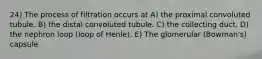 24) The process of filtration occurs at A) the proximal convoluted tubule. B) the distal convoluted tubule. C) the collecting duct. D) the nephron loop (loop of Henle). E) The glomerular (Bowman's) capsule