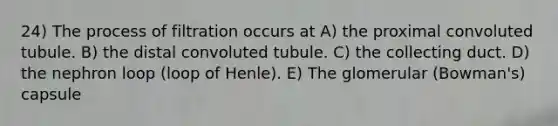 24) The process of filtration occurs at A) the proximal convoluted tubule. B) the distal convoluted tubule. C) the collecting duct. D) the nephron loop (loop of Henle). E) The glomerular (Bowman's) capsule