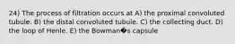 24) The process of filtration occurs at A) the proximal convoluted tubule. B) the distal convoluted tubule. C) the collecting duct. D) the loop of Henle. E) the Bowman�s capsule
