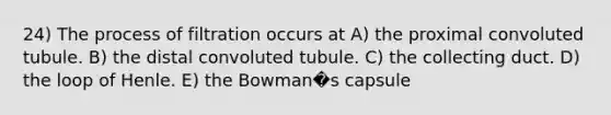 24) The process of filtration occurs at A) the proximal convoluted tubule. B) the distal convoluted tubule. C) the collecting duct. D) the loop of Henle. E) the Bowman�s capsule