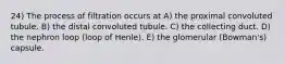 24) The process of filtration occurs at A) the proximal convoluted tubule. B) the distal convoluted tubule. C) the collecting duct. D) the nephron loop (loop of Henle). E) the glomerular (Bowman's) capsule.