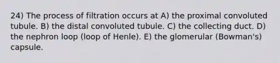 24) The process of filtration occurs at A) the proximal convoluted tubule. B) the distal convoluted tubule. C) the collecting duct. D) the nephron loop (loop of Henle). E) the glomerular (Bowman's) capsule.