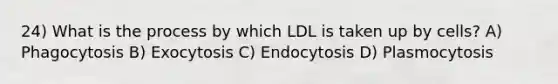 24) What is the process by which LDL is taken up by cells? A) Phagocytosis B) Exocytosis C) Endocytosis D) Plasmocytosis