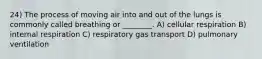 24) The process of moving air into and out of the lungs is commonly called breathing or ________. A) cellular respiration B) internal respiration C) respiratory gas transport D) pulmonary ventilation