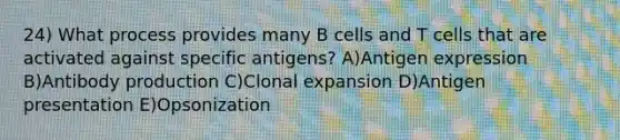 24) What process provides many B cells and T cells that are activated against specific antigens? A)Antigen expression B)Antibody production C)Clonal expansion D)Antigen presentation E)Opsonization