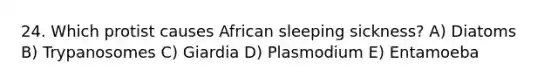 24. Which protist causes African sleeping sickness? A) Diatoms B) Trypanosomes C) Giardia D) Plasmodium E) Entamoeba