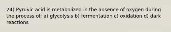 24) Pyruvic acid is metabolized in the absence of oxygen during the process of: a) glycolysis b) fermentation c) oxidation d) dark reactions