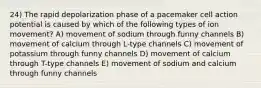 24) The rapid depolarization phase of a pacemaker cell action potential is caused by which of the following types of ion movement? A) movement of sodium through funny channels B) movement of calcium through L-type channels C) movement of potassium through funny channels D) movement of calcium through T-type channels E) movement of sodium and calcium through funny channels