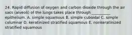 24. Rapid diffusion of oxygen and carbon dioxide through the air sacs (alveoli) of the lungs takes place through __________ epithelium. A. simple squamous B. simple cuboidal C. simple columnar D. keratinized stratified squamous E. nonkeratinized stratified squamous