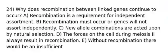 24) Why does recombination between linked genes continue to occur? A) Recombination is a requirement for independent assortment. B) Recombination must occur or genes will not assort independently. C) New allele combinations are acted upon by natural selection. D) The forces on the cell during meiosis II always result in recombination. E) Without recombination there would be an insufficient