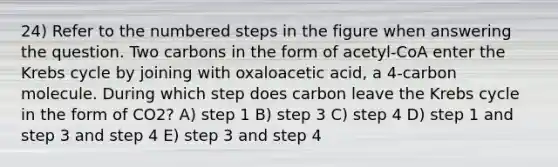 24) Refer to the numbered steps in the figure when answering the question. Two carbons in the form of acetyl-CoA enter the Krebs cycle by joining with oxaloacetic acid, a 4-carbon molecule. During which step does carbon leave the Krebs cycle in the form of CO2? A) step 1 B) step 3 C) step 4 D) step 1 and step 3 and step 4 E) step 3 and step 4