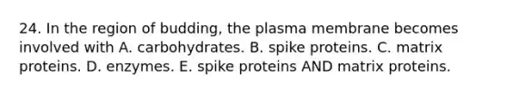 24. In the region of budding, the plasma membrane becomes involved with A. carbohydrates. B. spike proteins. C. matrix proteins. D. enzymes. E. spike proteins AND matrix proteins.