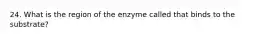 24. What is the region of the enzyme called that binds to the substrate?