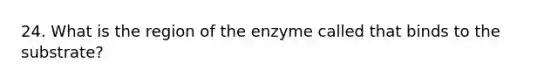 24. What is the region of the enzyme called that binds to the substrate?